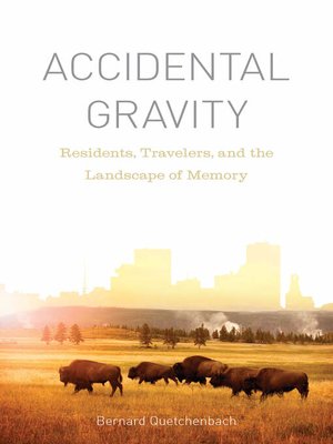 cover image of Accidental Gravity